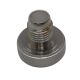Bleeder Screw