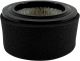 Filter, Element, Air Intake,DevAir236/39/247/447