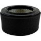 Filter, Element, Air Intake,DevAir236/39/247/447