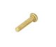Screw, Quad/Tri Valve Clamp,Brass