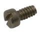 Screw