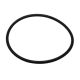 O-Ring, Water Purge Assembly,Diamond