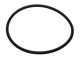 O-Ring, Water Purge Assembly,Diamond